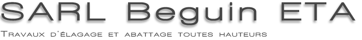 SARL BEGUIN ETA